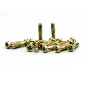 (15) Metric body mounting screws 9.5mm